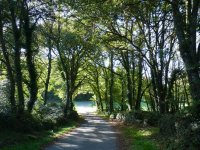  Traversée du Chemin Primitif 