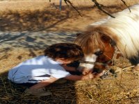  Cavalos e pôneis para crianças 