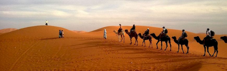 Offers of Camel Riding Matalascañas