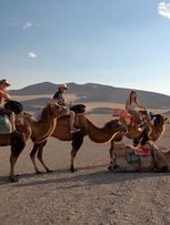 Paseos en Camello