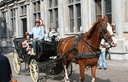 Paseos en Carro en Barcelona