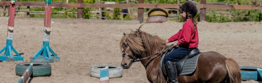 Offerte di Lezioni di Equitazione Barcellona