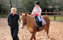 Lezioni di Equitazione