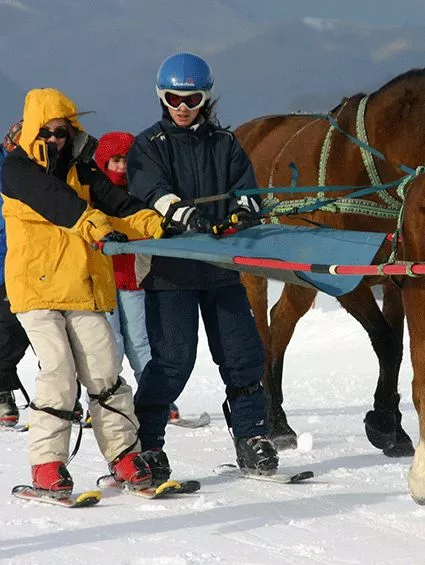 Ski Joëring