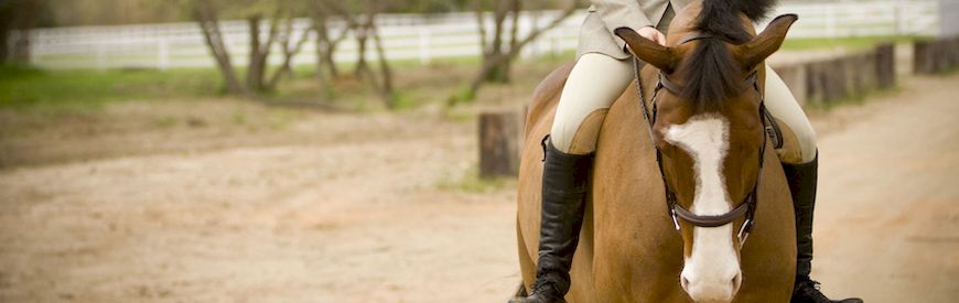 Ofertas de Rutas a caballo por la playa Playa De Sant Joan