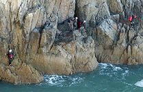 海岸探險