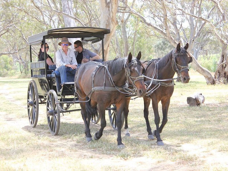 旅行或参加骑马课程,但是找到能让我们乘坐马车体验的中心并不常见