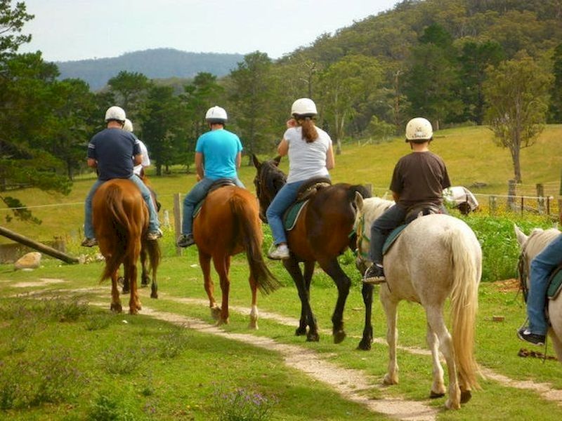 Gana experiencia para hacer las mejores rutas Gana experiencia para hacer las mejores rutas