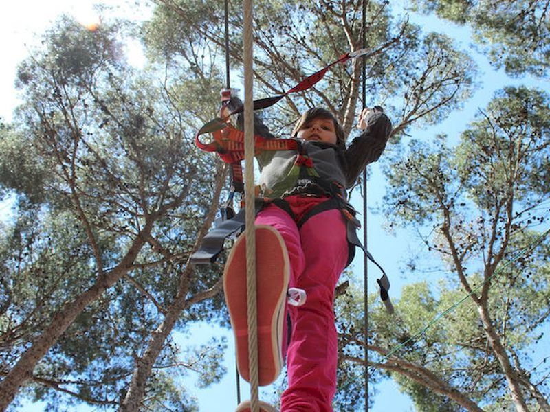Vive una aventura en los árboles Vive una aventura en los árboles