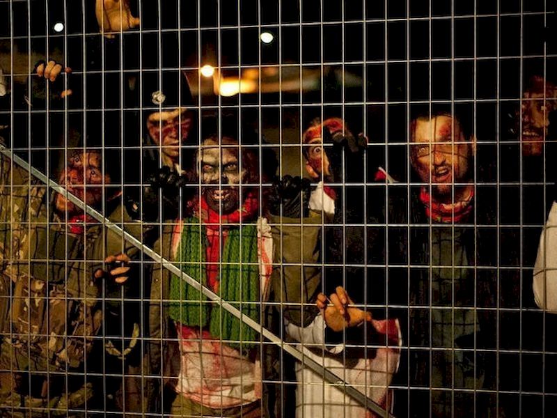 ¡Sobrevive a un apocalipsis zombie! ¡Sobrevive a un apocalipsis zombie!