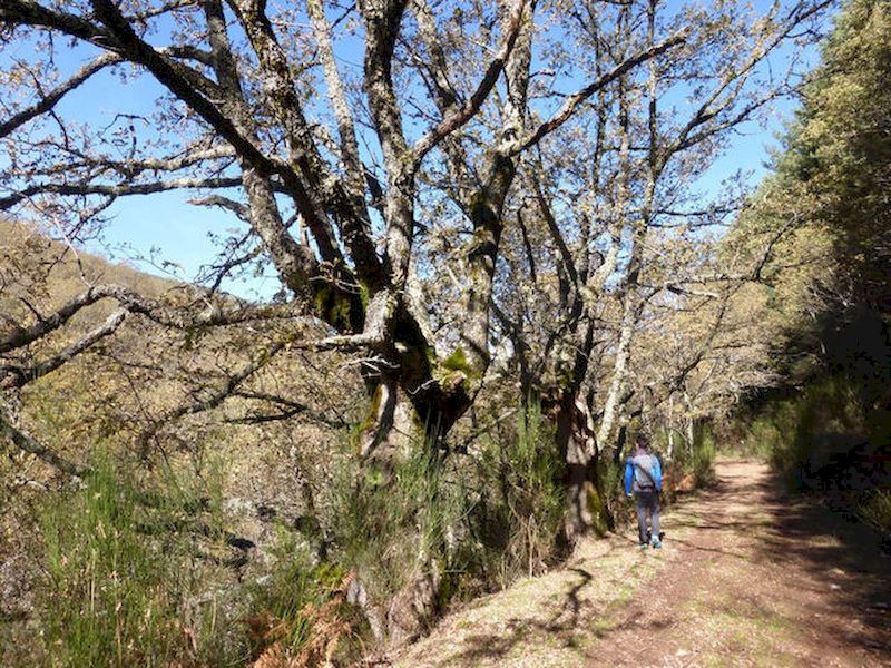 Una variedad infinita de recorridos Una variedad infinita de recorridos