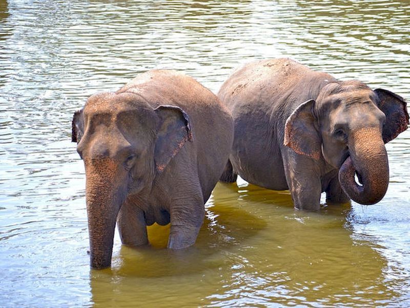 Olvida la ciudad y rodéate de la naturaleza