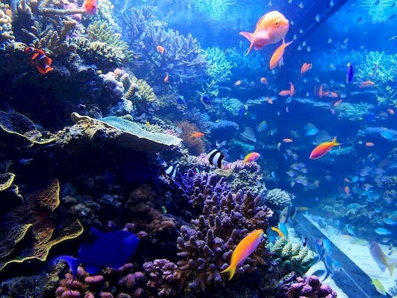 El plan perfecto para ir en familia