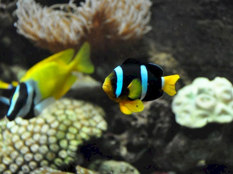 Aprendes mientras te diviertes