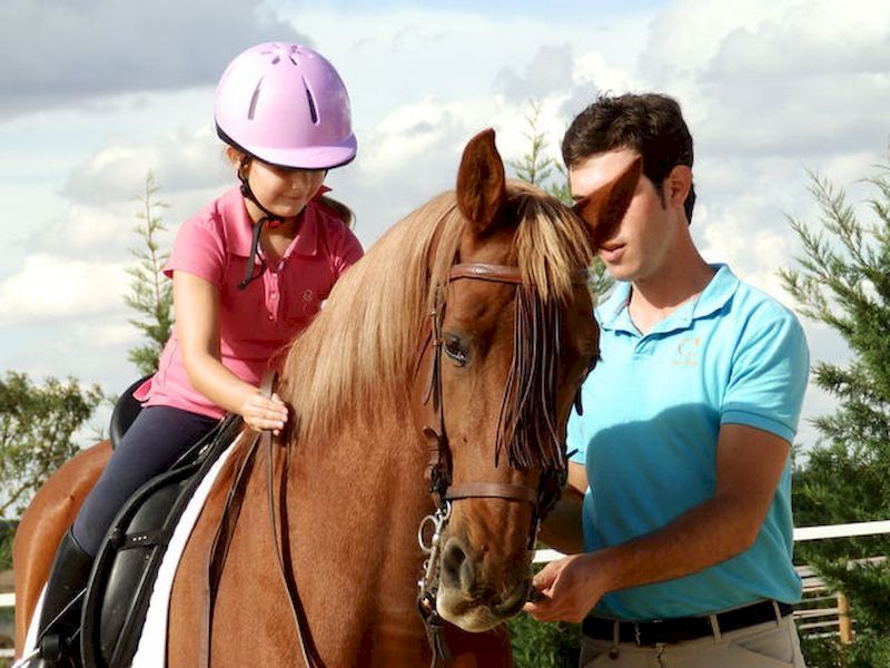 La cohabitation avec les chevaux La cohabitation avec les chevaux