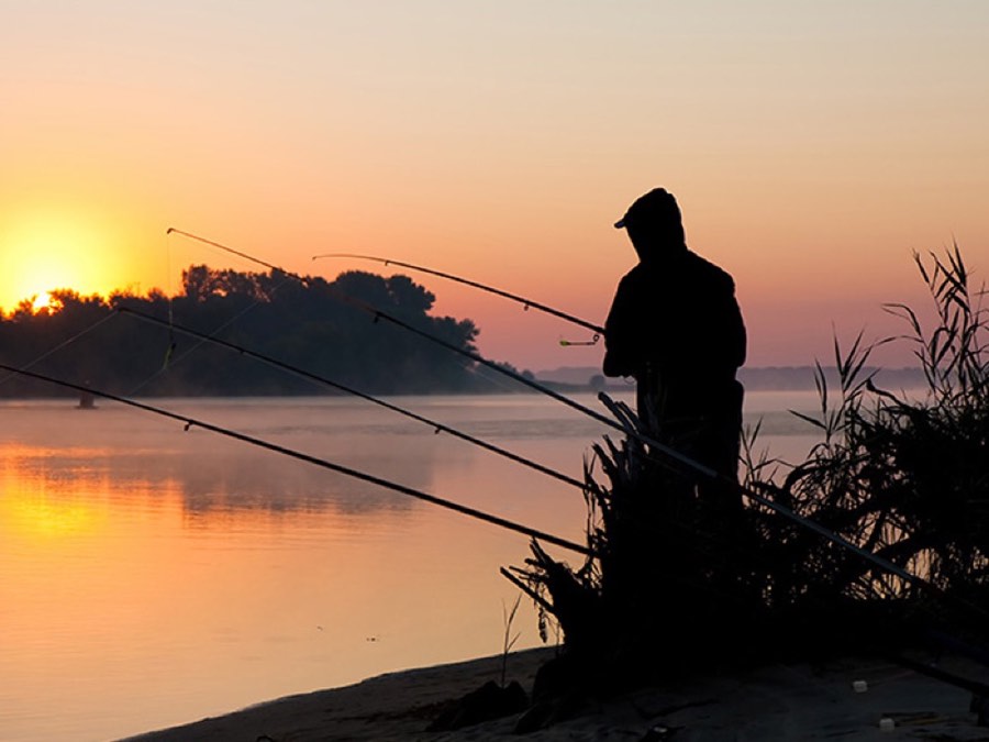 fishing gift card